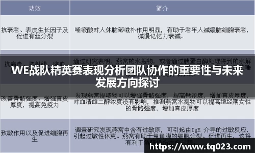 WE战队精英赛表现分析团队协作的重要性与未来发展方向探讨