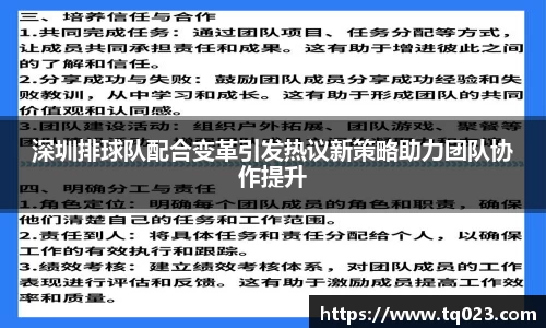 深圳排球队配合变革引发热议新策略助力团队协作提升