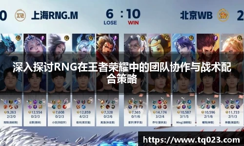 深入探讨RNG在王者荣耀中的团队协作与战术配合策略